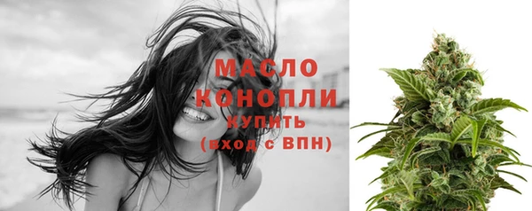 трава Инта