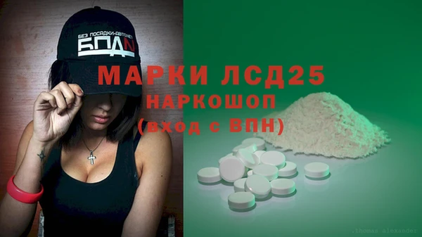PSILOCYBIN Зерноград