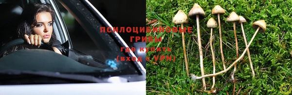 PSILOCYBIN Зерноград