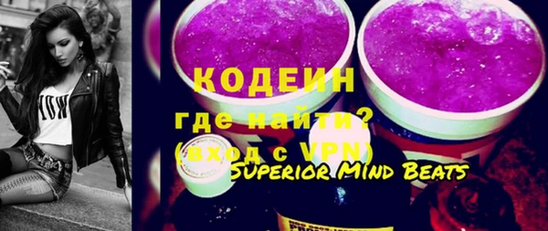 трава Инта