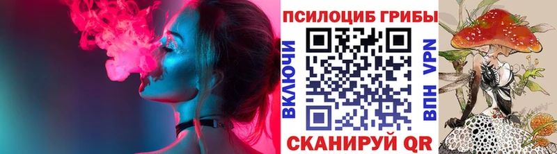 Псилоцибиновые грибы GOLDEN TEACHER Купить закладки Вольск